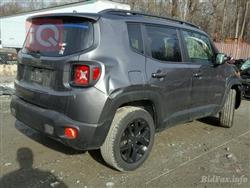 جيب رينيجيد